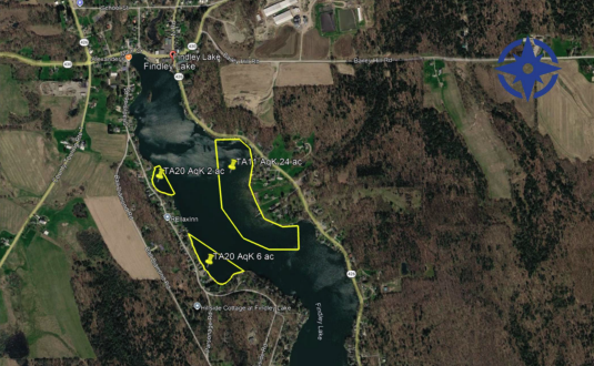 2026 weed treatment map