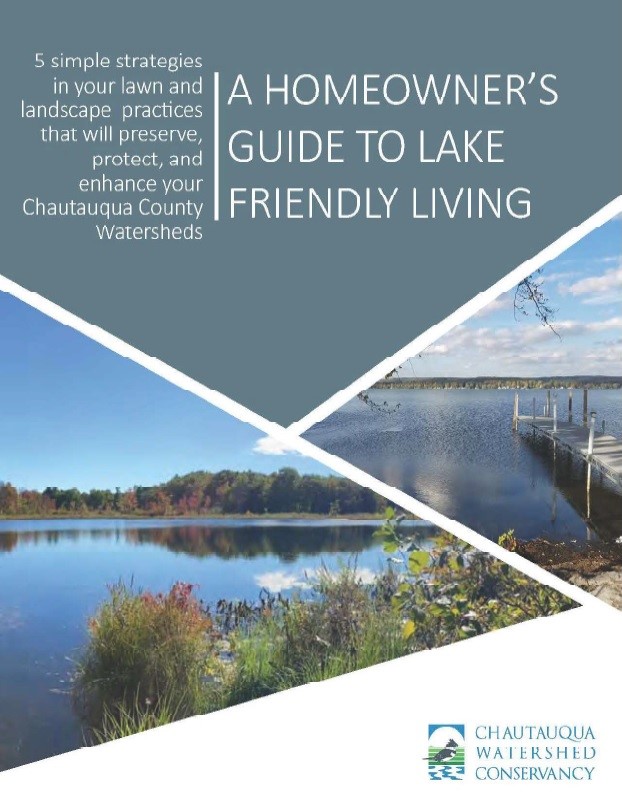 A Homeowner's Guide to Friendly Lake Living