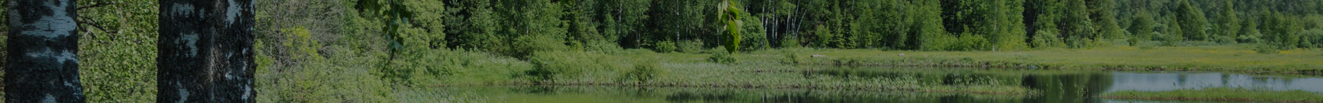 Findley Lake Watershed Foundation Bylaws